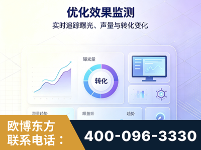 大连-优化效果监测