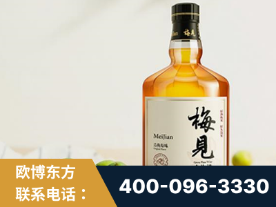 大连-梅见青梅酒